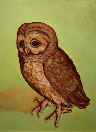 cm-owl